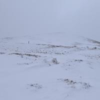 PXL_20250415_115300390.MP