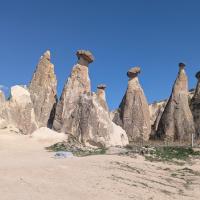 PXL_20250418_122451624.MP