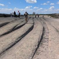 PXL_20250420_081203083