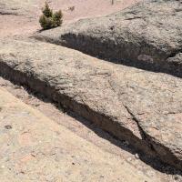 PXL_20250420_084341493