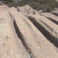 PXL_20250420_091734835