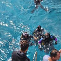 diving red sea