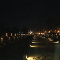 IMG_5666