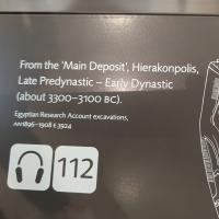PXL_20230728_114635276