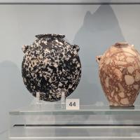 PXL_20230728_114838231