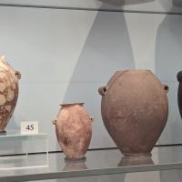 PXL_20230728_114842614