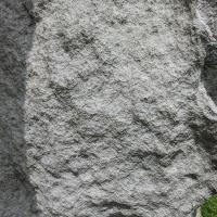 PXL_20230719_102723161