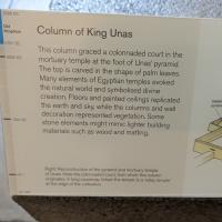 PXL_20230725_092445690