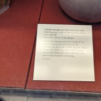 PXL_20230725_095315626