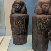 PXL_20230725_095408393