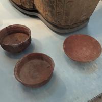 PXL_20230725_095540953.MP