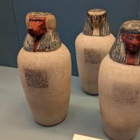 PXL_20230725_095619262