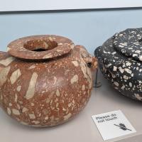 PXL_20230725_100234923