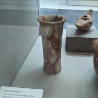 PXL_20230725_100738282.MP