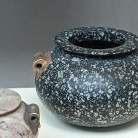 PXL_20230725_101011031