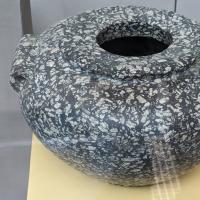 PXL_20230725_101038470