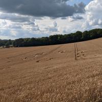 PXL_20230720_154006652