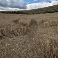 PXL_20230720_155153408