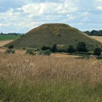 PXL_20230719_153617198