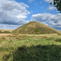 PXL_20230719_155826083