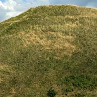 PXL_20230719_155838478