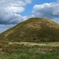 PXL_20230719_155840824