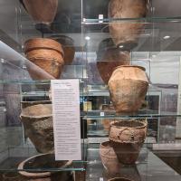 PXL_20230720_100556619