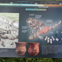 PXL_20230719_145118371