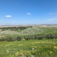 PXL_20230404_120200347