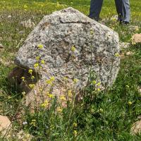 PXL_20230406_090059357