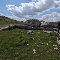 PXL_20230406_110354493