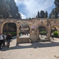 PXL_20230331_090424819