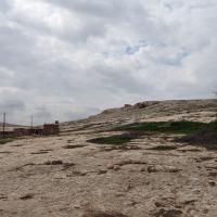 PXL_20230402_111519097
