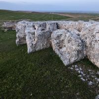 PXL_20230407_155549658