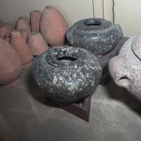 PXL_20240211_094452410