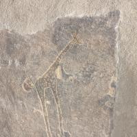 PXL_20240218_085413608