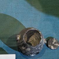 PXL_20240218_093127855